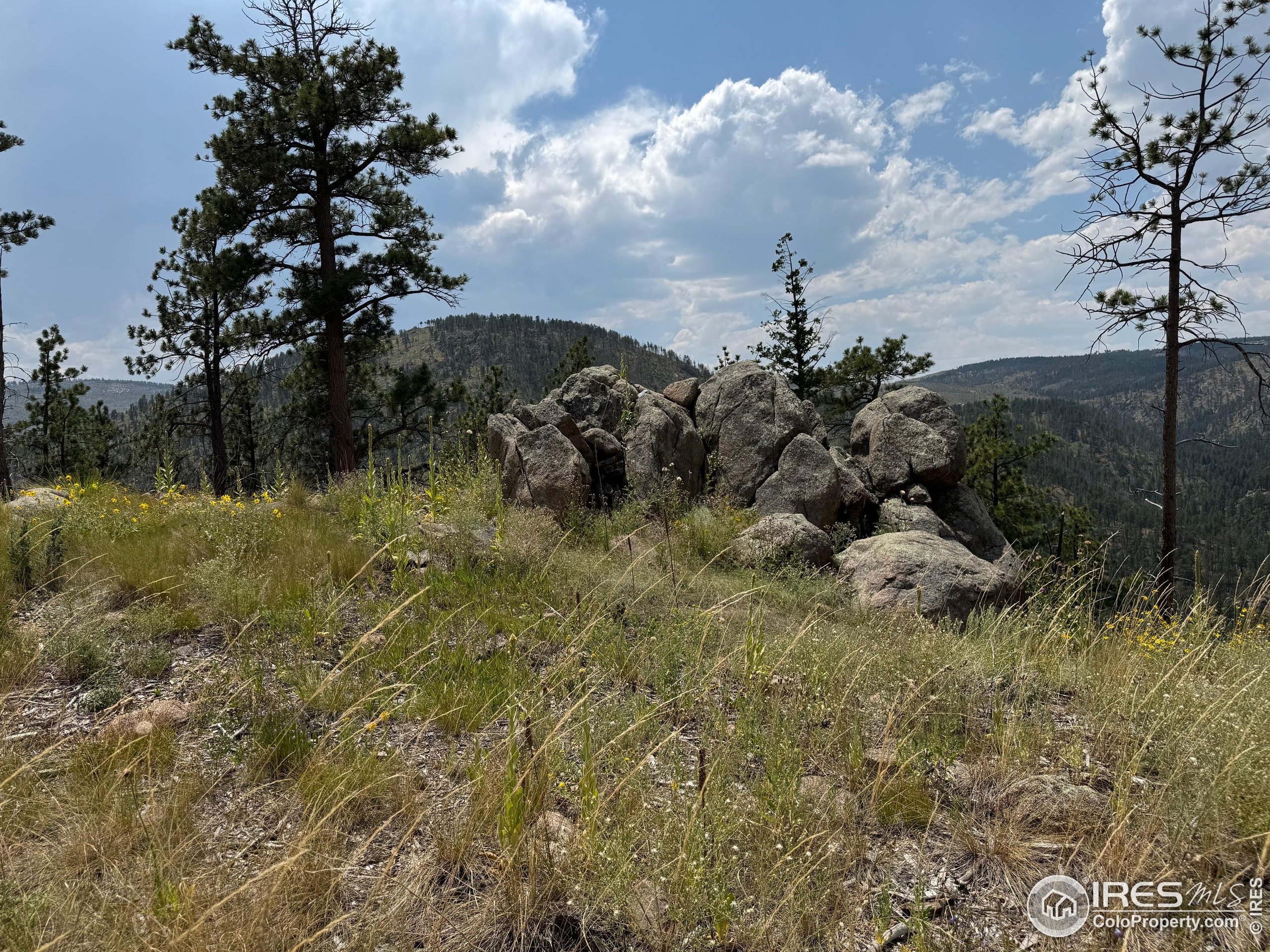 865 Redstone Drive Bellvue, CO 80512 - Photo 11 of 38