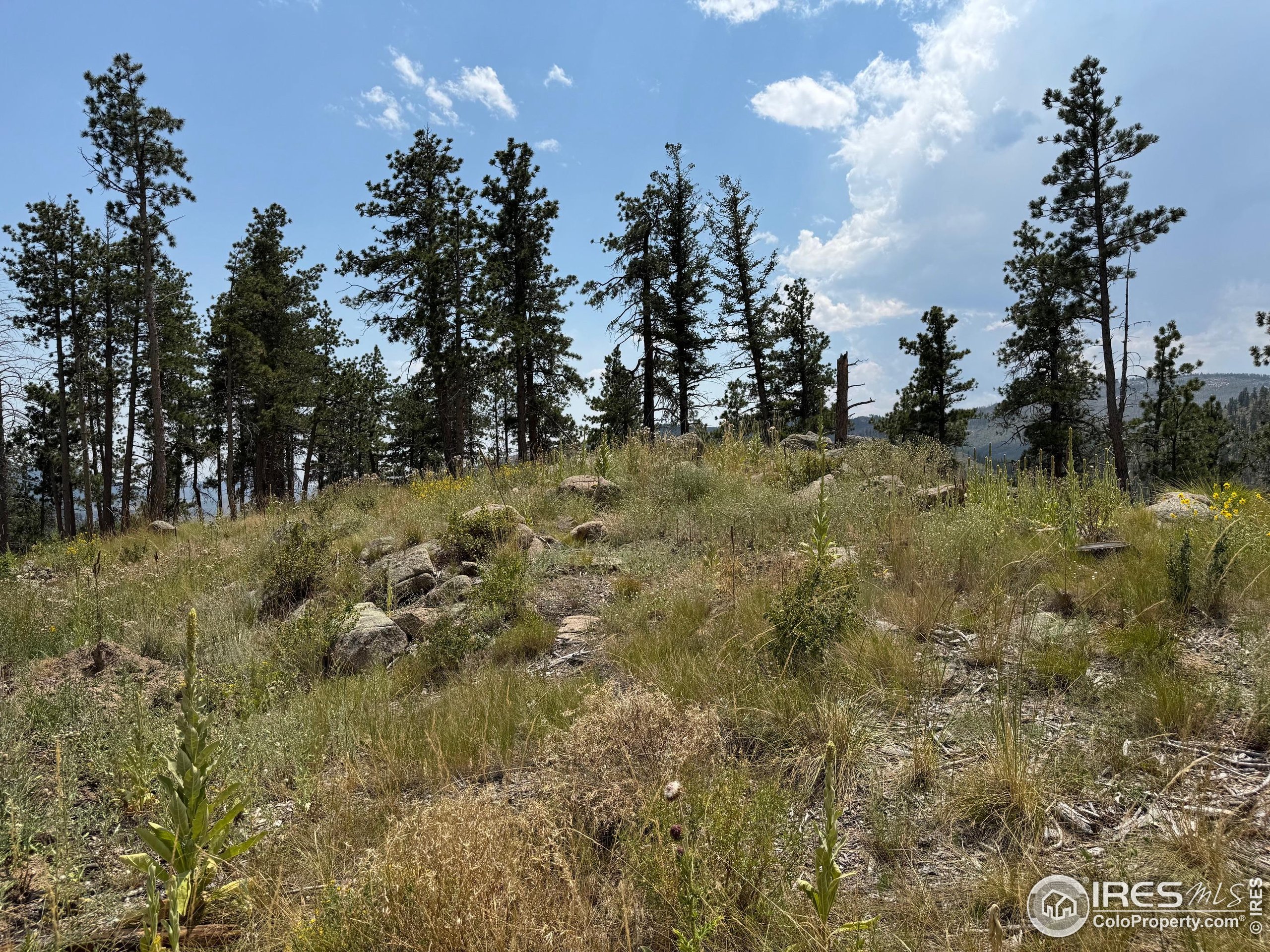 865 Redstone Drive Bellvue, CO 80512 - Photo 12 of 38