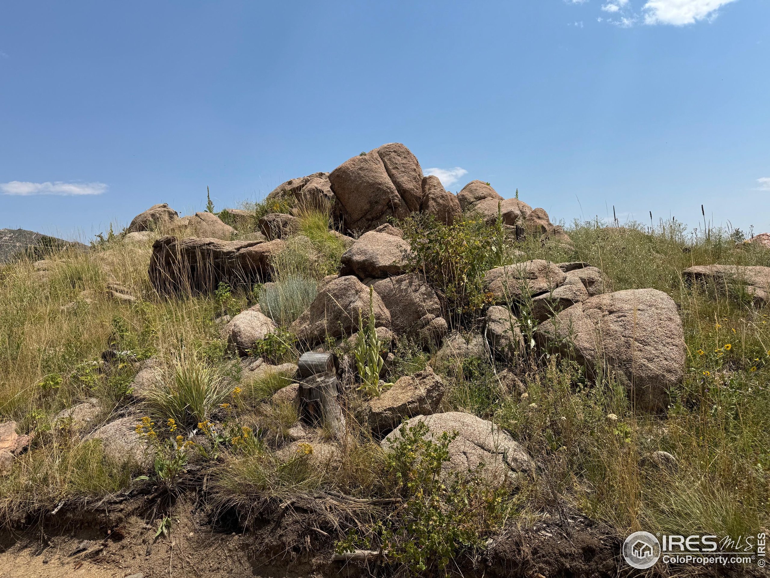 865 Redstone Drive Bellvue, CO 80512 - Photo 13 of 38