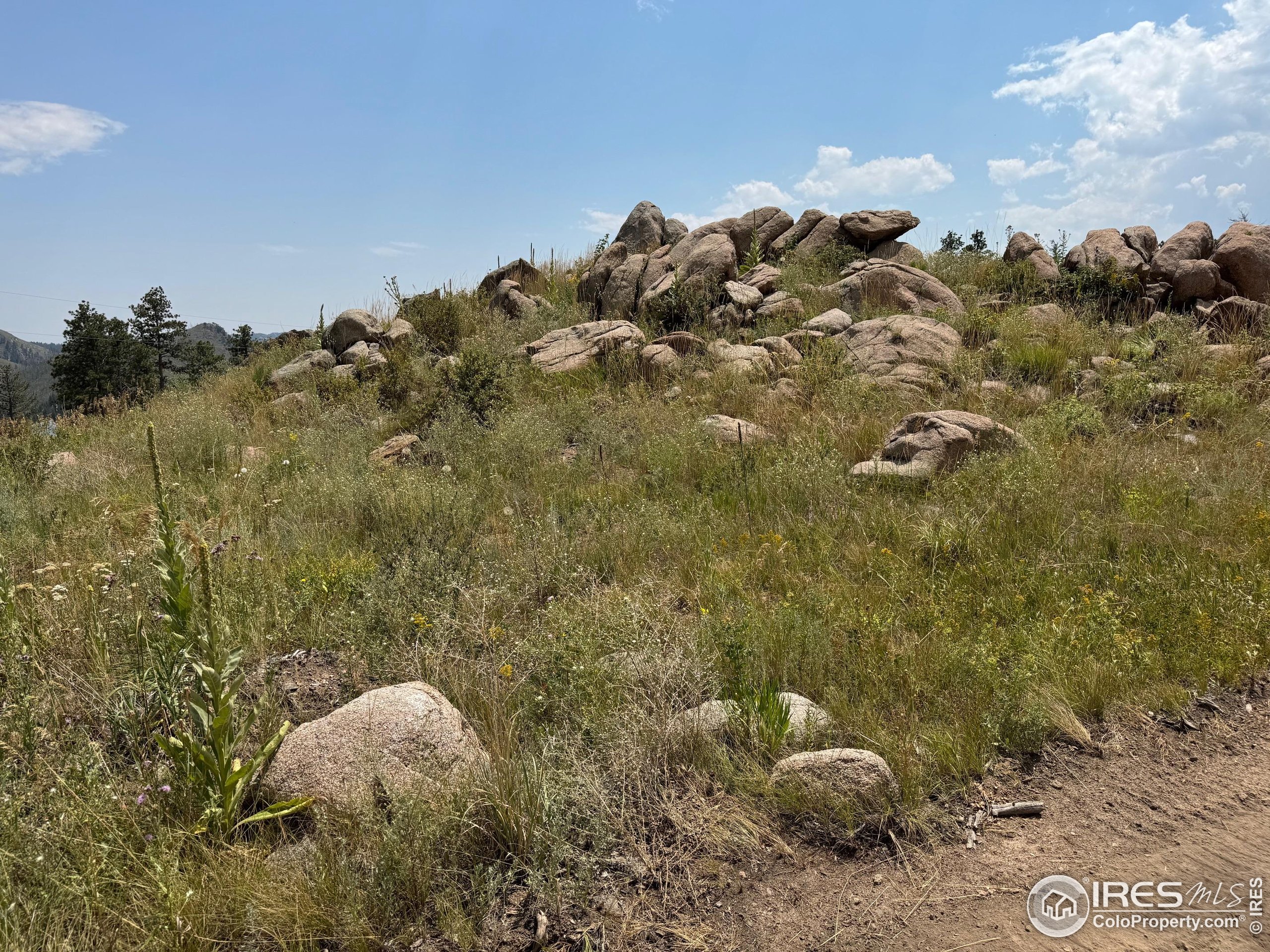 865 Redstone Drive Bellvue, CO 80512 - Photo 17 of 38
