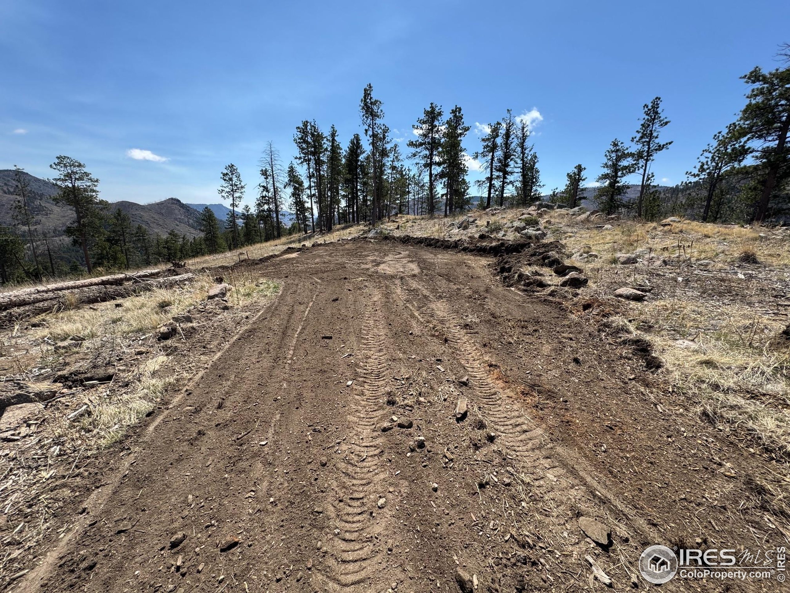 865 Redstone Drive Bellvue, CO 80512 - Photo 23 of 38