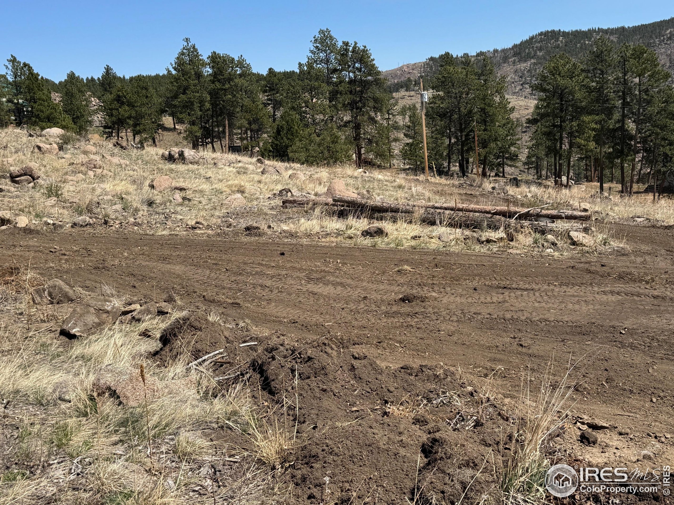 865 Redstone Drive Bellvue, CO 80512 - Photo 24 of 38