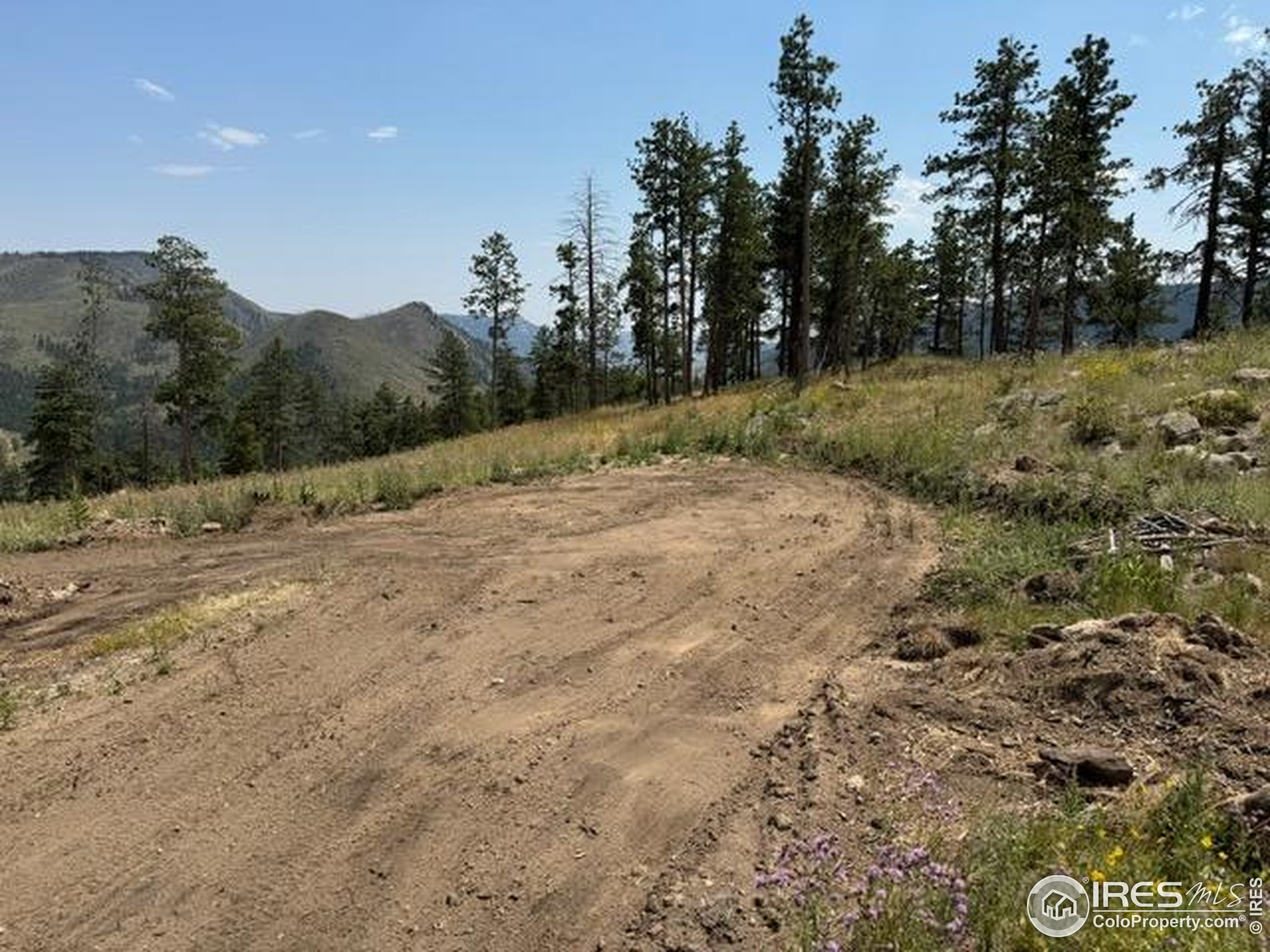 865 Redstone Drive Bellvue, CO 80512 - Photo 25 of 38