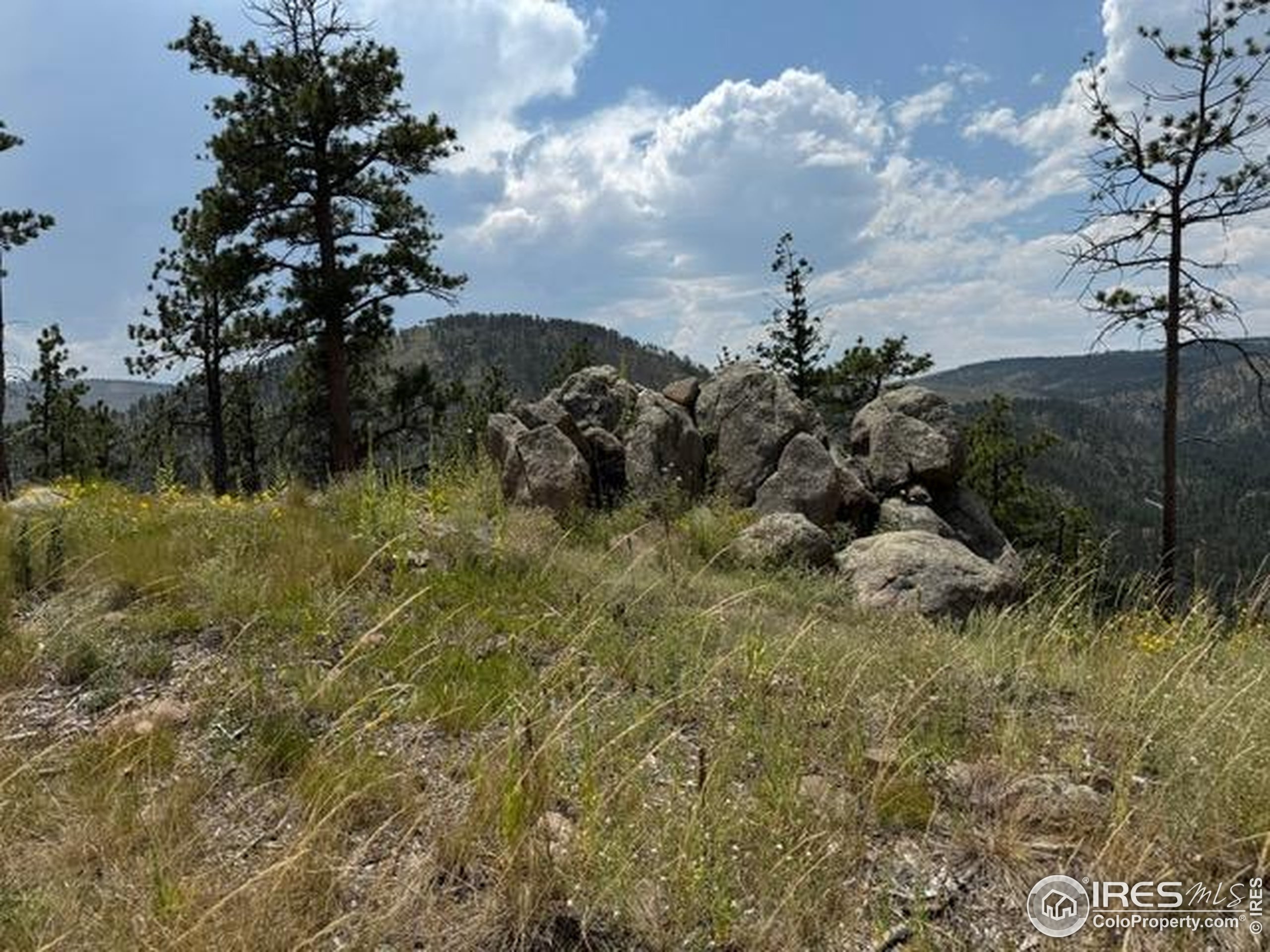 865 Redstone Drive Bellvue, CO 80512 - Photo 27 of 38