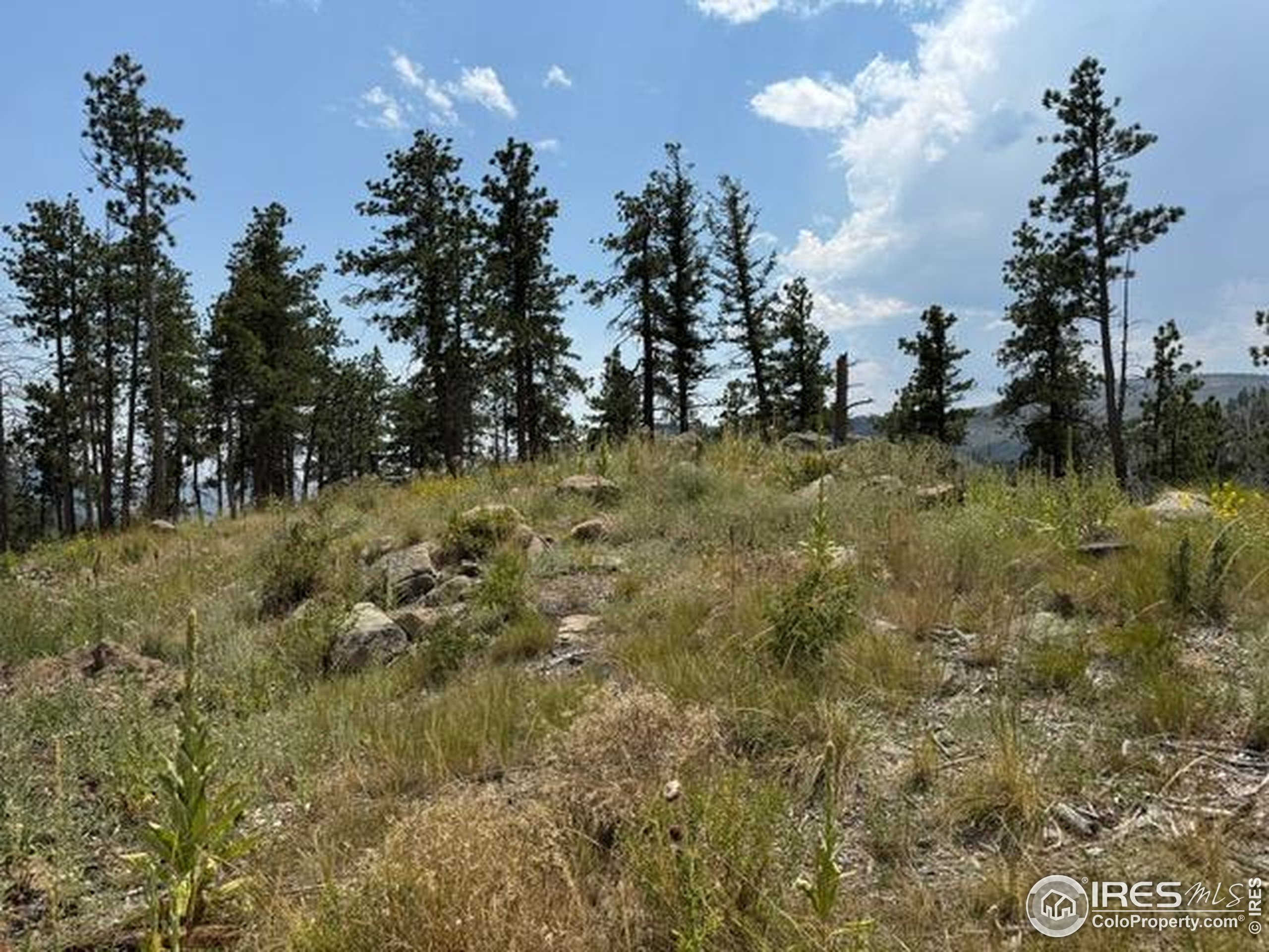 865 Redstone Drive Bellvue, CO 80512 - Photo 30 of 38