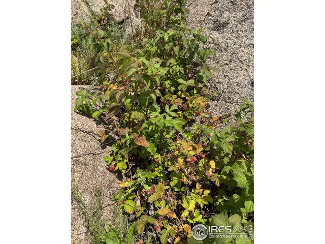 $185,400 | 865 Redstone Drive, Bellvue, CO 80512