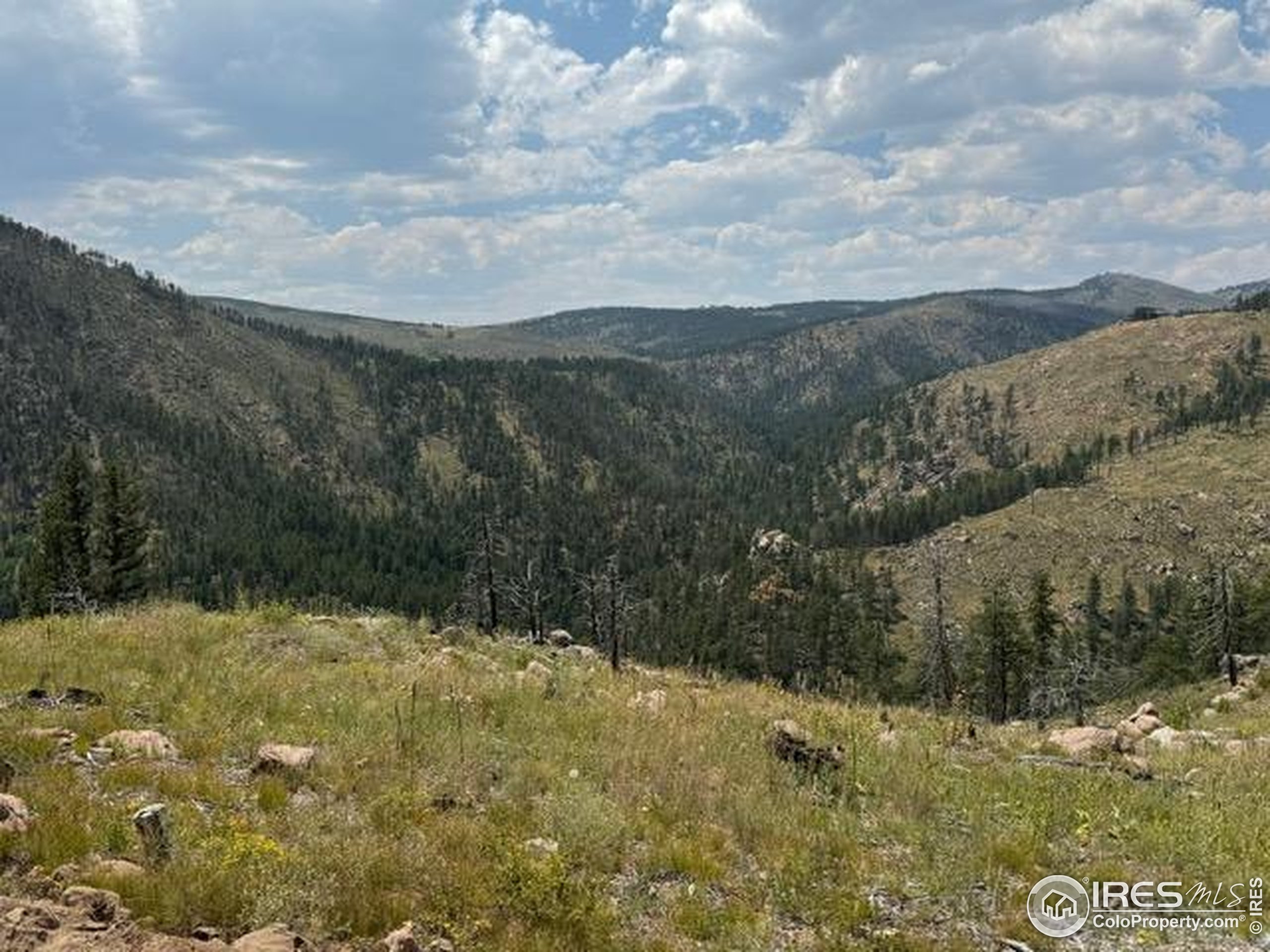 865 Redstone Drive Bellvue, CO 80512 - Photo 9 of 38