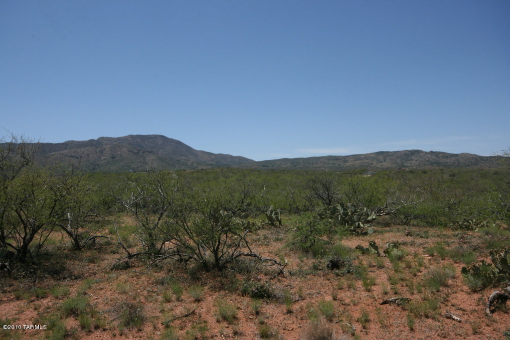 81483 East Goldbug Road Oracle, AZ 85623 - Photo 12 of 12