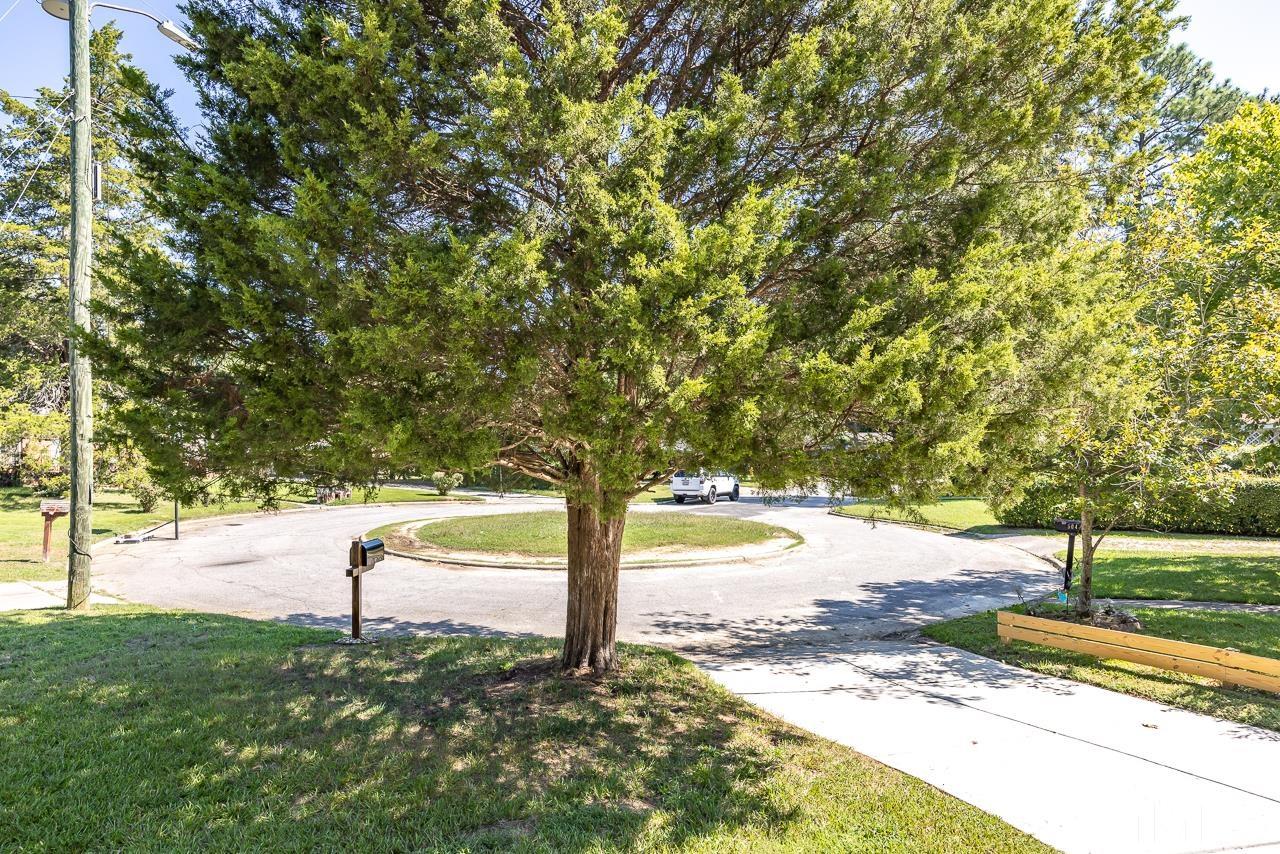 500 Doby Circle Raleigh, NC 27610 - Photo 35 of 40 a view of a yard with an tree