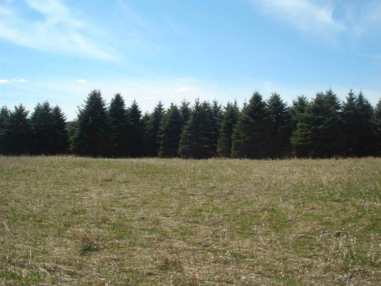 0 South 45 1/2 Road Cadillac, MI 49601 - Photo 1 of 9 1812624.JPG