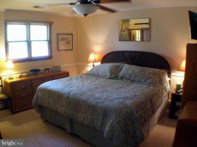 9934 Old Mill Road Ellicott City, MD 21042 - Photo 10 of 30 Bedroom (Master)