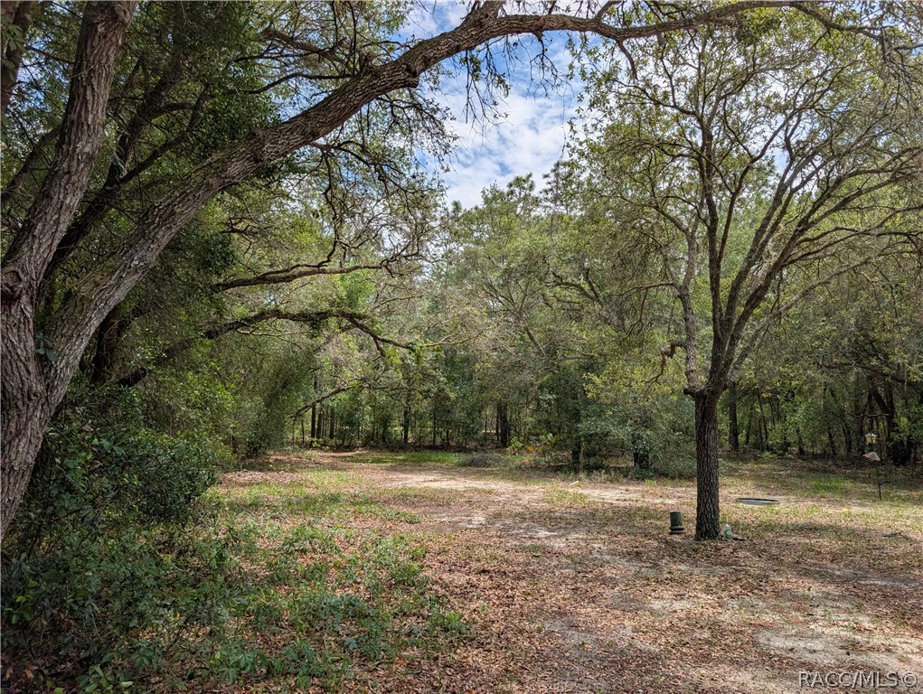 1030 East Wacker Street Hernando, FL 34442 - Photo 27 of 38