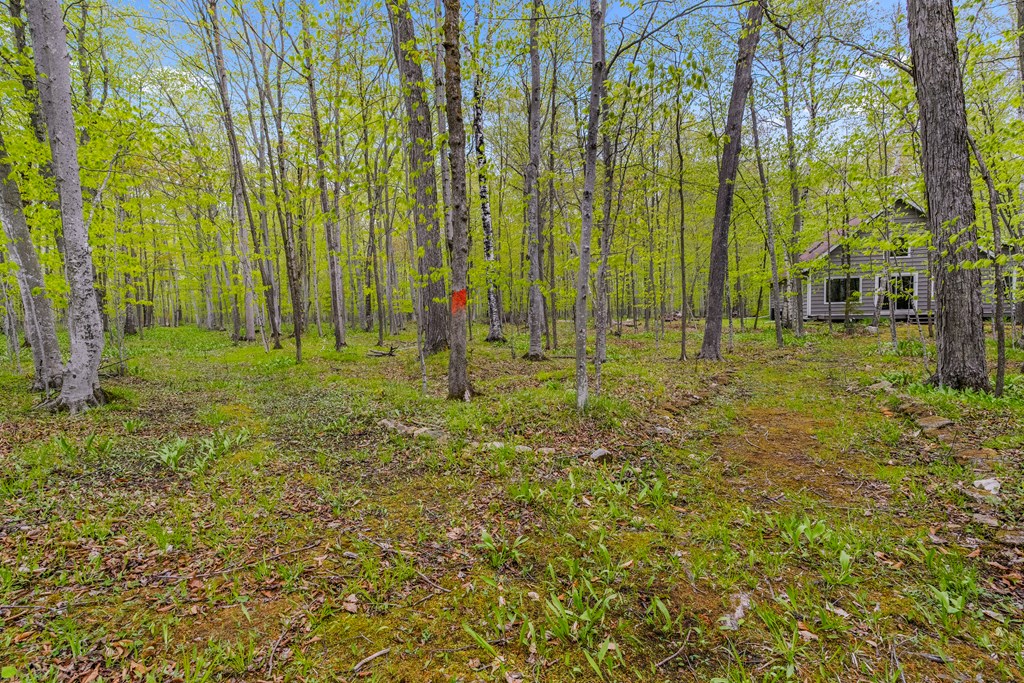 11393 Mink River Road Ellison Bay, WI 54210 - Photo 10 of 48 Gallery Image 10