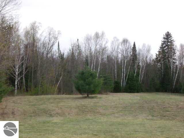 3200 Wiltse Road Lupton, MI 48635 - Photo 3 of 15 1756267-2.JPG