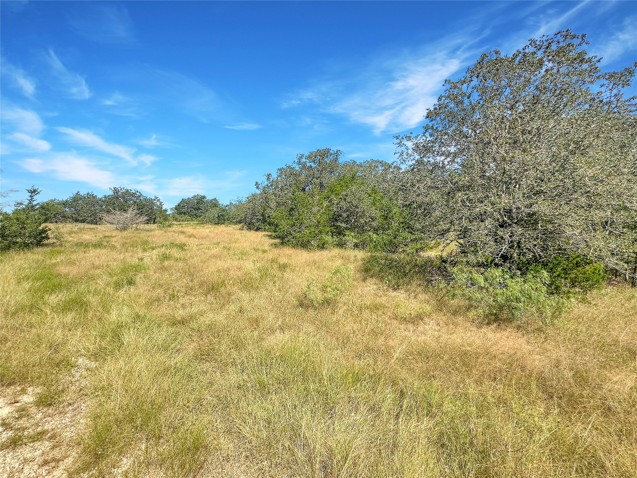 1345 Davis Road Muldoon, TX 78949 - Photo 18 of 25 a view of a field with an outdoor space