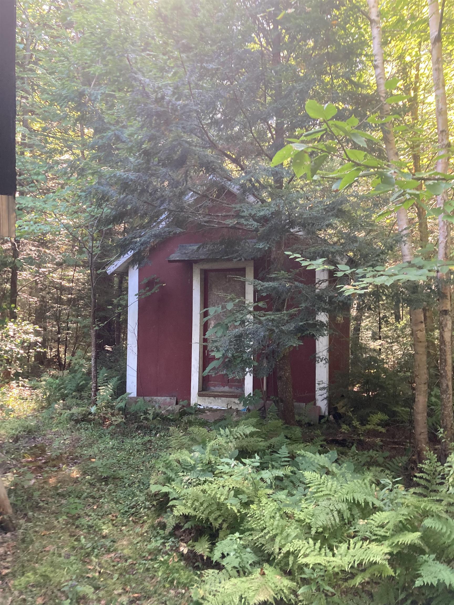 174 Millbrook Road Grafton, NH 03240 - Photo 3 of 11