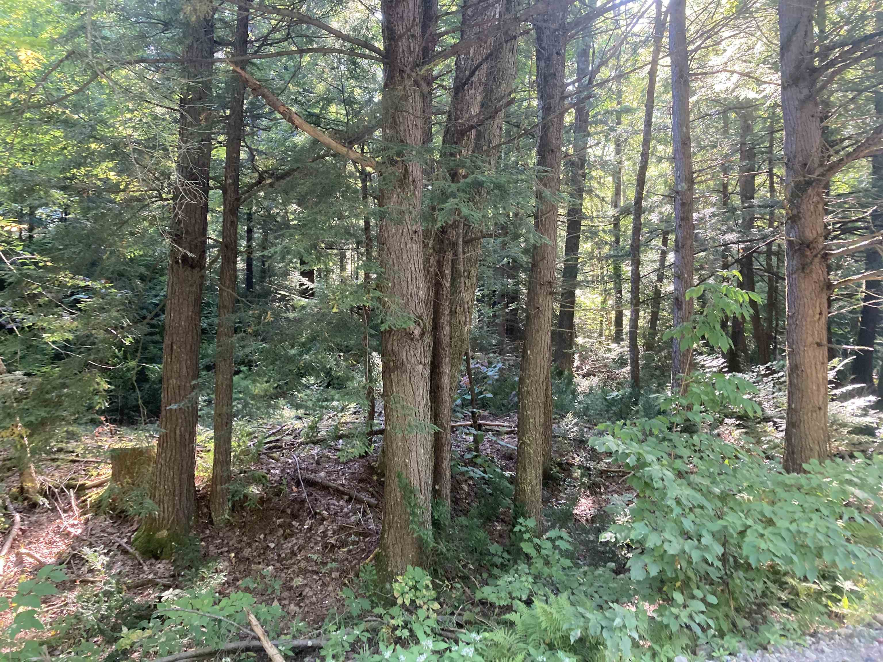 174 Millbrook Road Grafton, NH 03240 - Photo 4 of 11