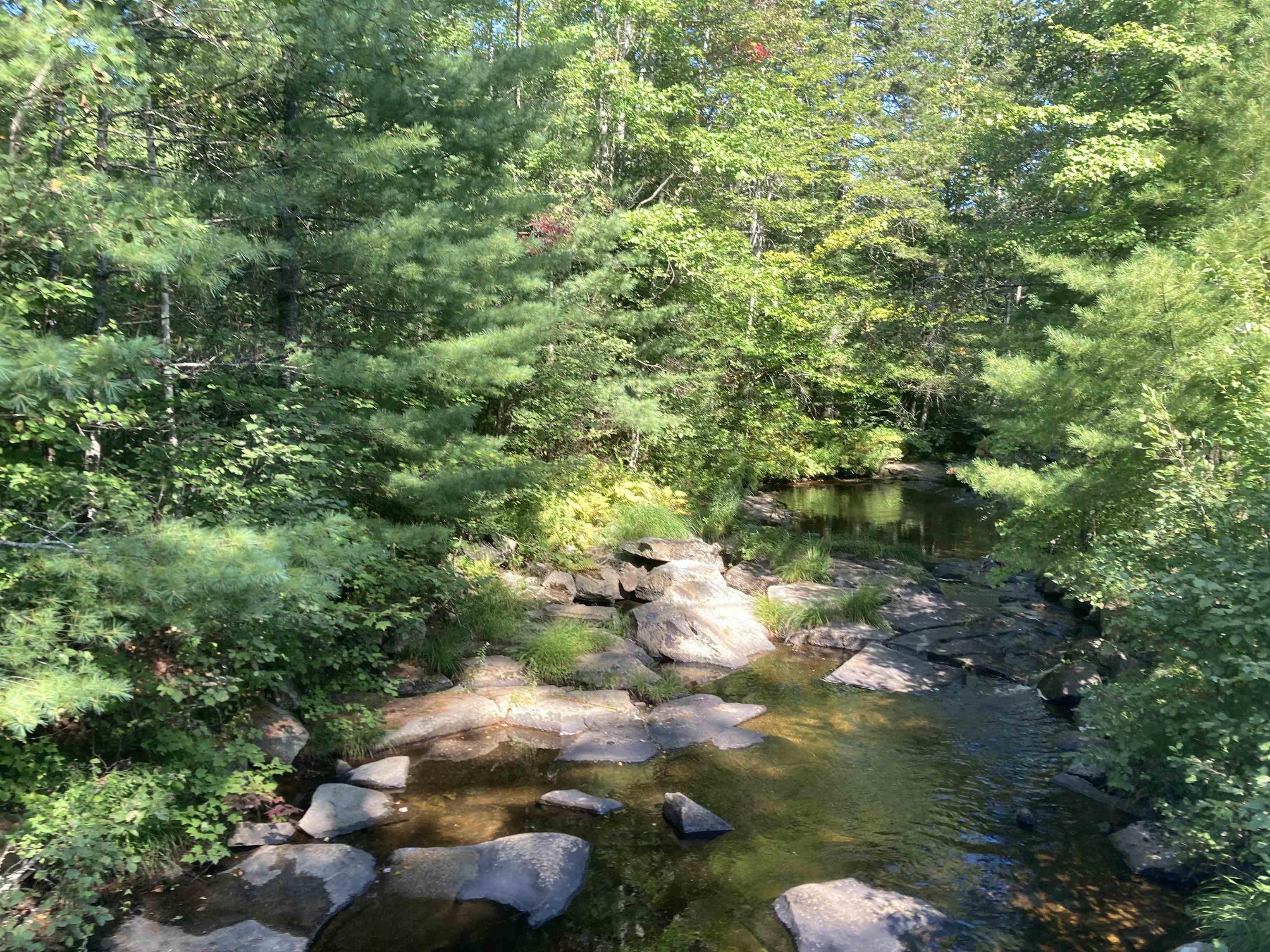 174 Millbrook Road Grafton, NH 03240 - Photo 6 of 11