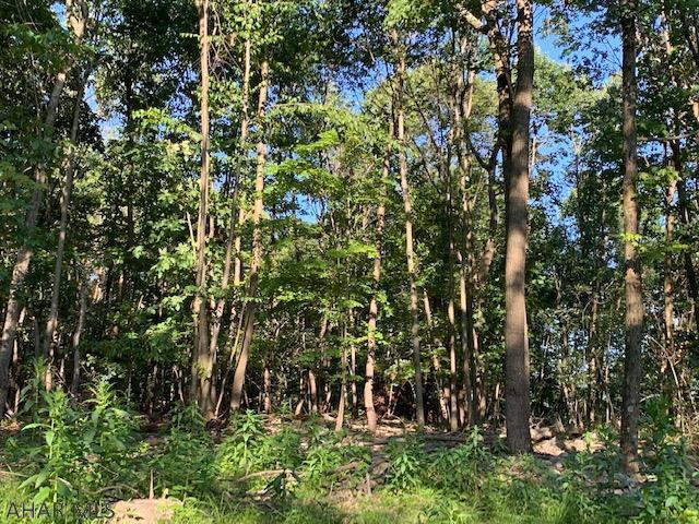 1009 A Six Mile Run Road Six Mile Run, PA 16679 - Photo 34 of 47 Gallery Image 34
