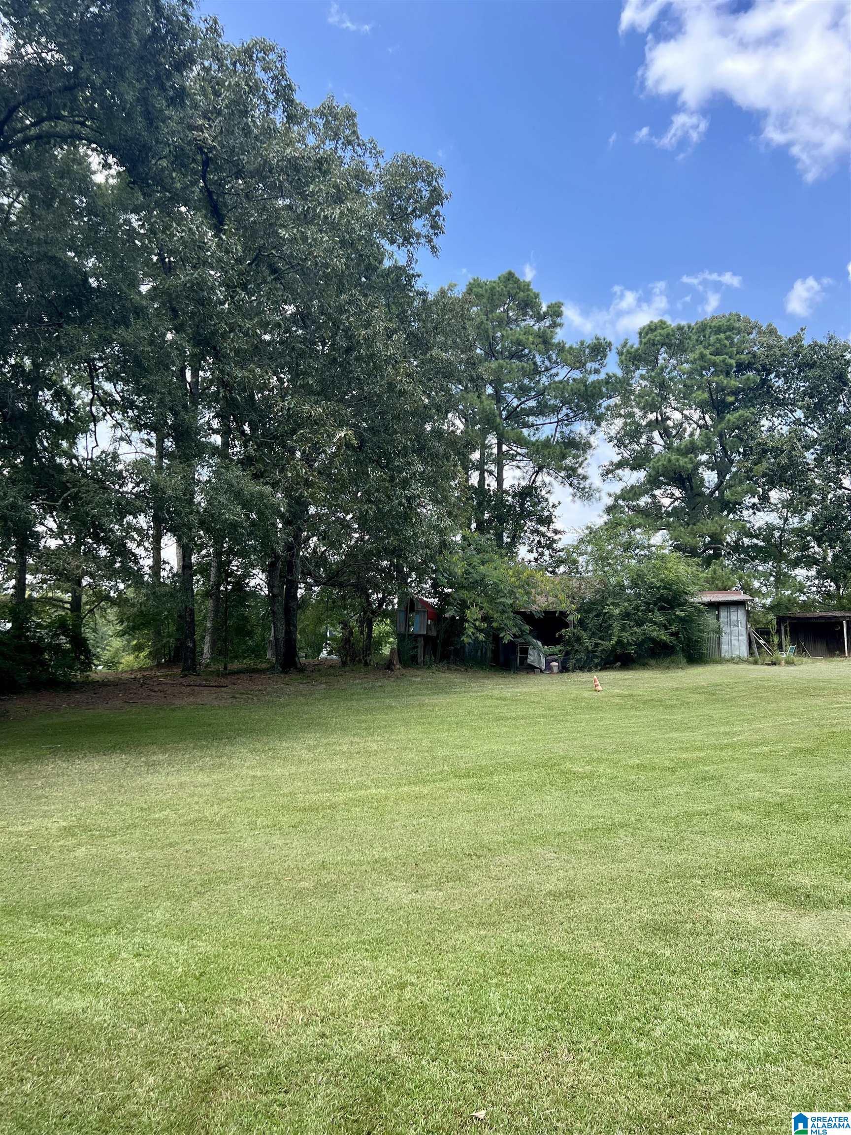 7650 Chelsea Road Columbiana, AL 35051 - Photo 13 of 47