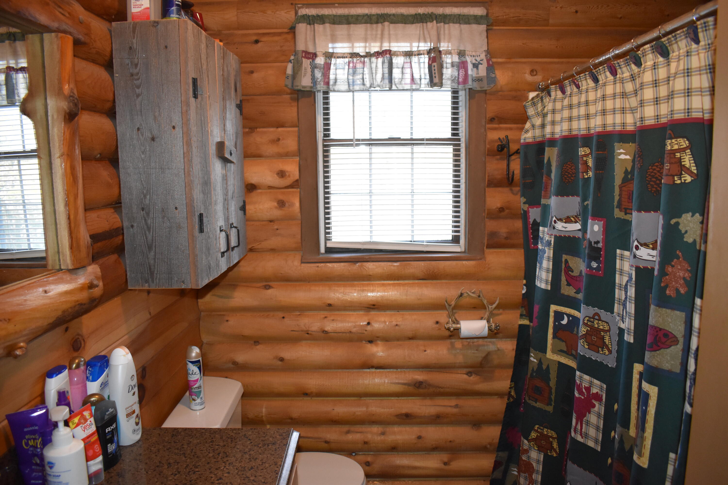 60 Cobb Road Lee, ME 04455 - Photo 18 of 21 DSC_0570
