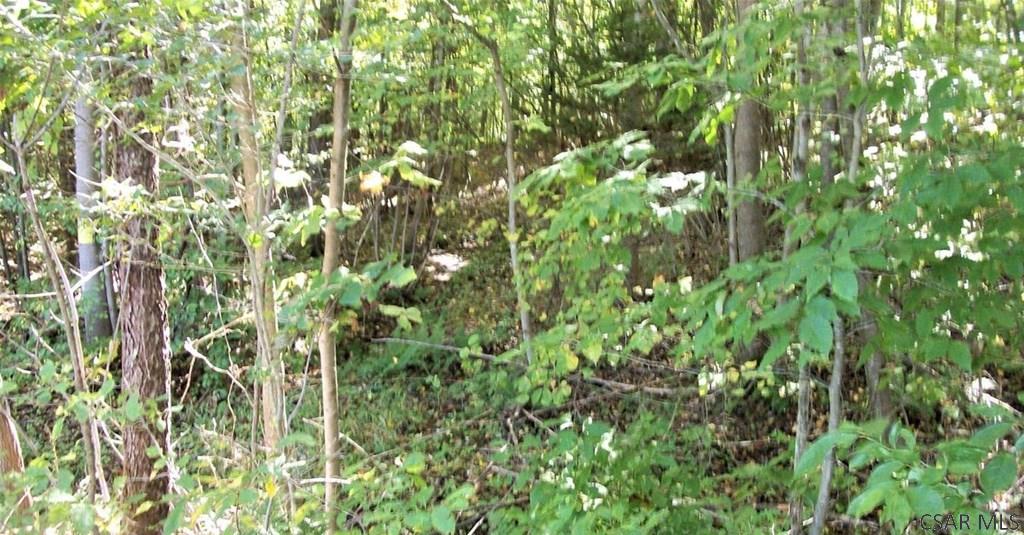 Moonshine Holler Road Boswell, PA 15531 - Photo 5 of 20 Gallery Image 5