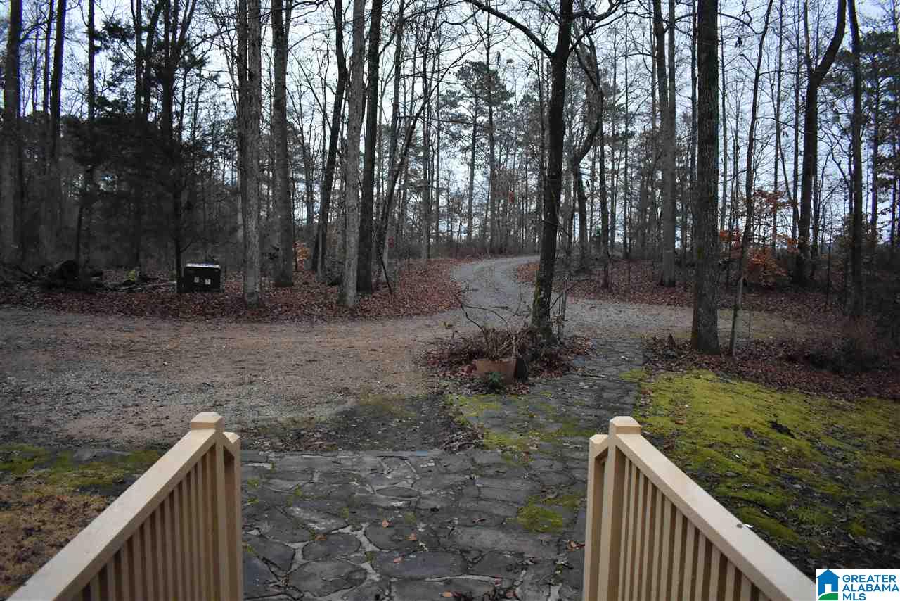 8333 Chelsea Road Columbiana, AL 35051 - Photo 44 of 50