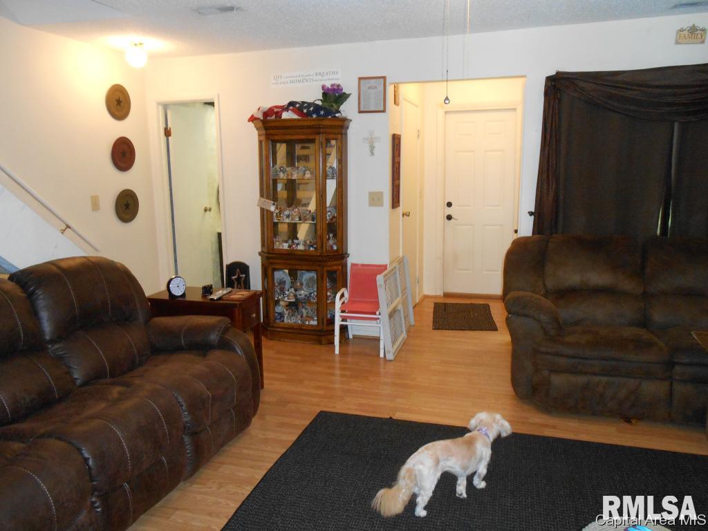 84 Trailridge Lane Springfield, IL 62704 - Photo 4 of 22 Gallery Image 4