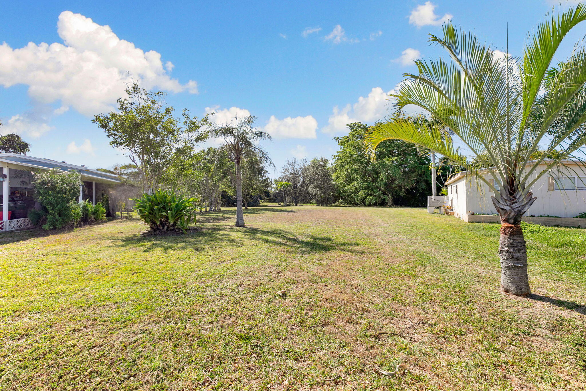147 Rookery Road Naples, FL 34114 - Photo 3 of 11 a view of a yard with swimming pool