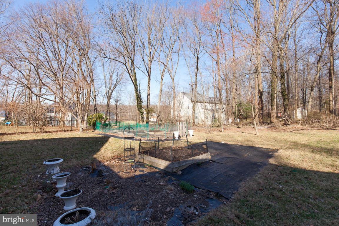 2221 Drury Road Silver Spring, MD 20906 - Photo 30 of 30 Exterior (Rear)