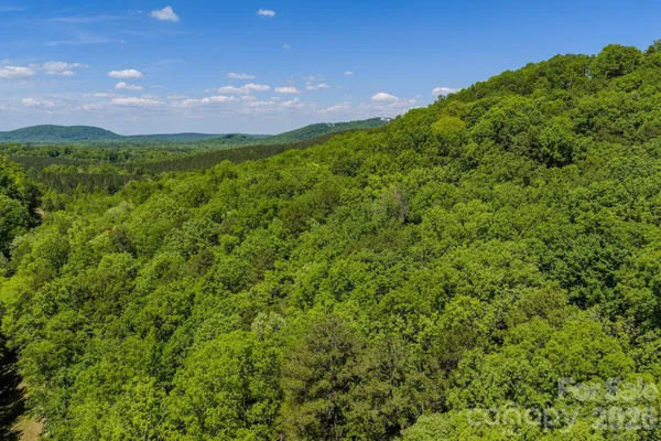 a view of a lush green space