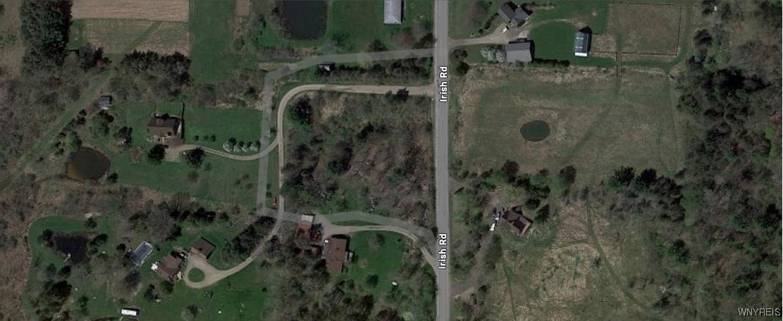 0 Irish Road Colden, NY 14033 - Photo 3 of 3