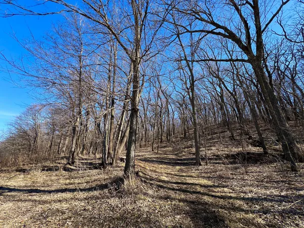 $825,000 | 9200 County Road 3 Northwest, Oronoco, MN 55960