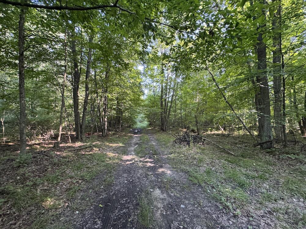 East Procunier Road Harrisville, MI 48740 - Photo 15 of 78 13