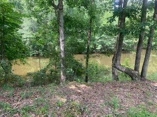 1184 Poplar Road Hazlehurst, MS 39083 - Photo 26 of 38 Photo 26
