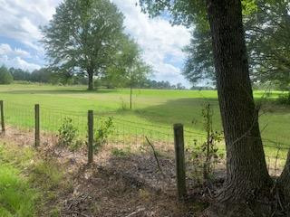 1184 Poplar Road Hazlehurst, MS 39083 - Photo 29 of 38 Photo 29
