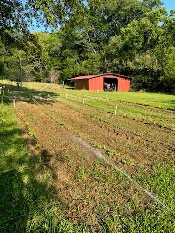 1184 Poplar Road Hazlehurst, MS 39083 - Photo 31 of 38 Photo 31