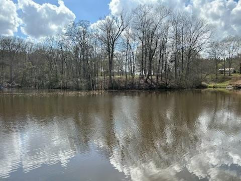 1184 Poplar Road Hazlehurst, MS 39083 - Photo 32 of 38 Photo 32