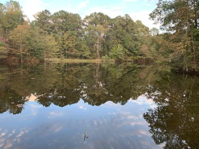1184 Poplar Road Hazlehurst, MS 39083 - Photo 35 of 38 Photo 35
