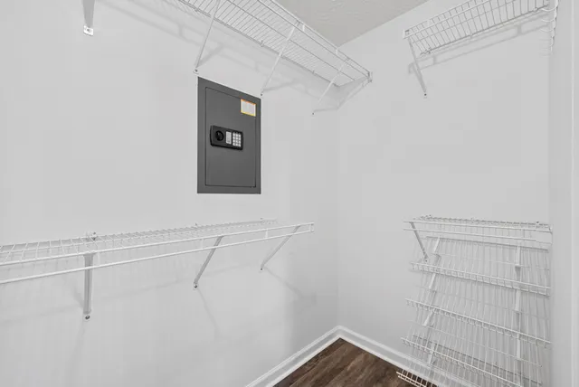 a view of a yard with a large trees