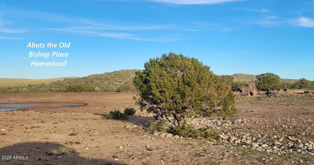 15115 Noseeum Road, Unit 261 Williams, AZ 86046 - Photo 15 of 19 a view of lake