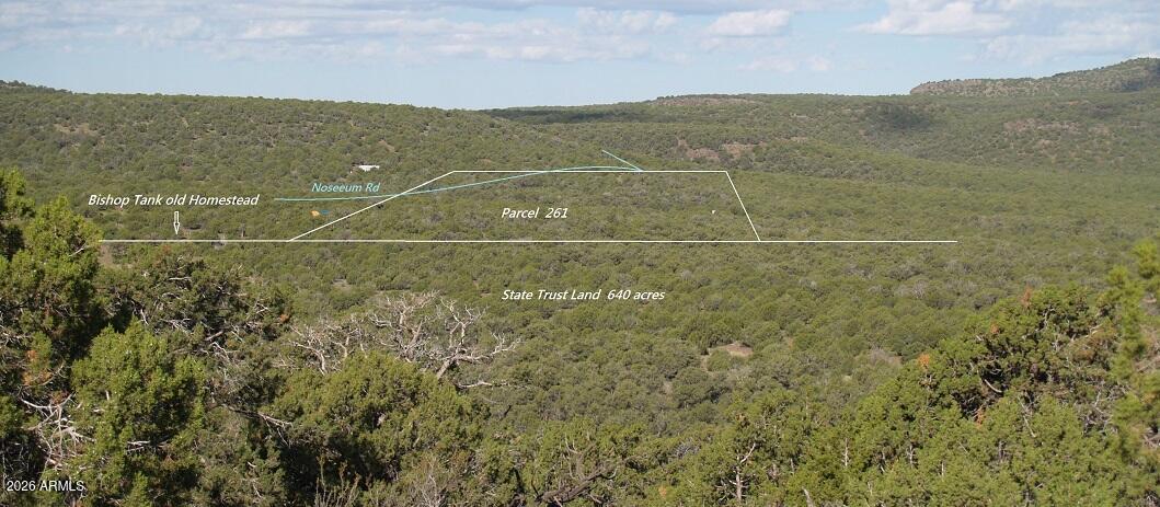 15115 Noseeum Road, Unit 261 Williams, AZ 86046 - Photo 2 of 19 a view of a tennis court