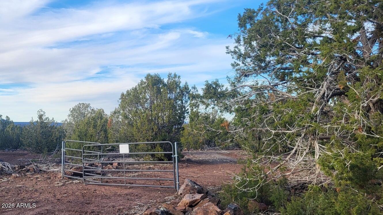 15115 Noseeum Road, Unit 261 Williams, AZ 86046 - Photo 4 of 19 a view of a forest with a bench