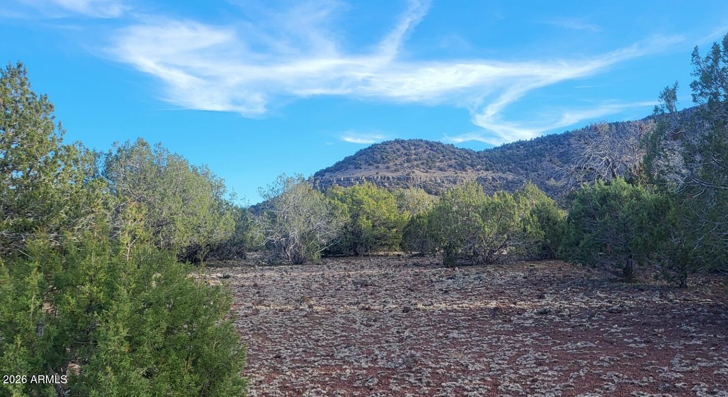 15115 Noseeum Road, Unit 261 Williams, AZ 86046 - Photo 5 of 19 a view of a yard with a tree