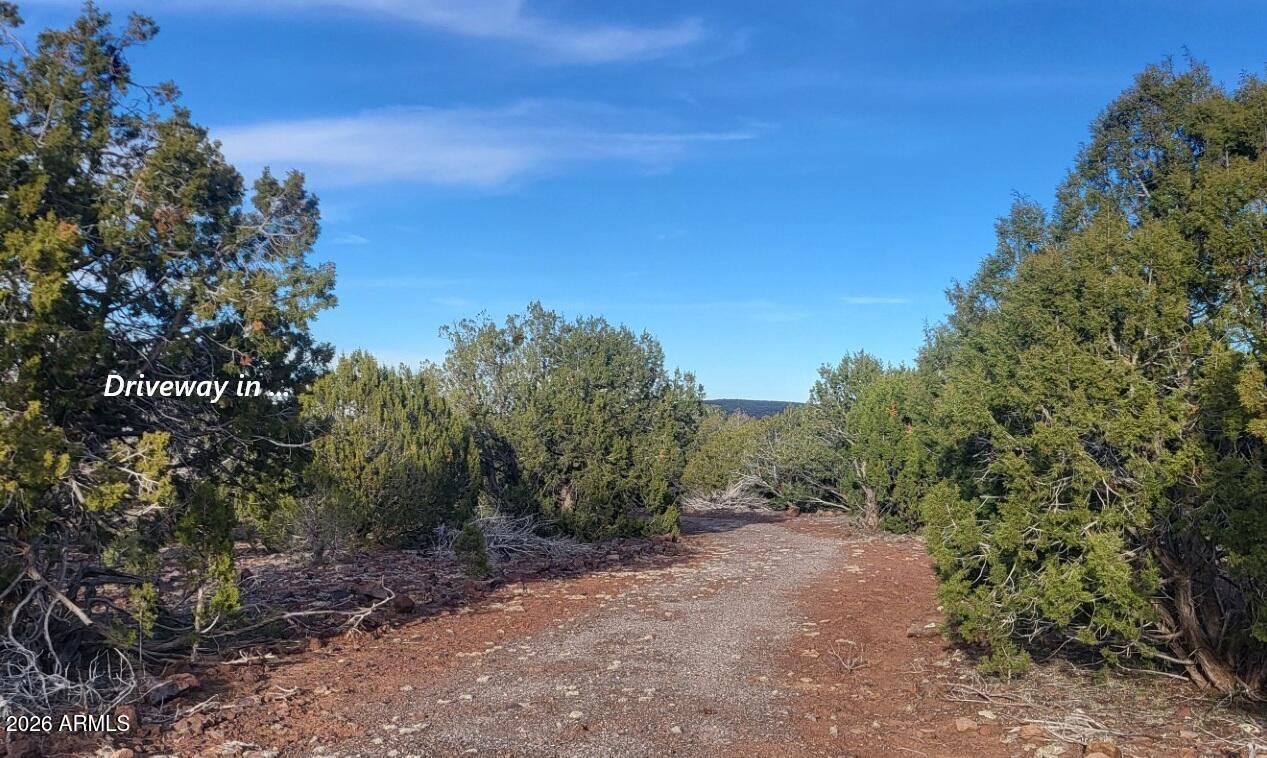 15115 Noseeum Road, Unit 261 Williams, AZ 86046 - Photo 6 of 19 a view of a forest with trees in the background