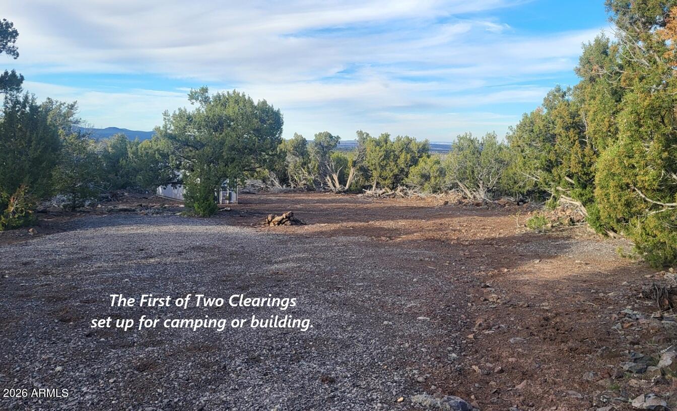 15115 Noseeum Road, Unit 261 Williams, AZ 86046 - Photo 7 of 19 a view of dirt yard with large trees
