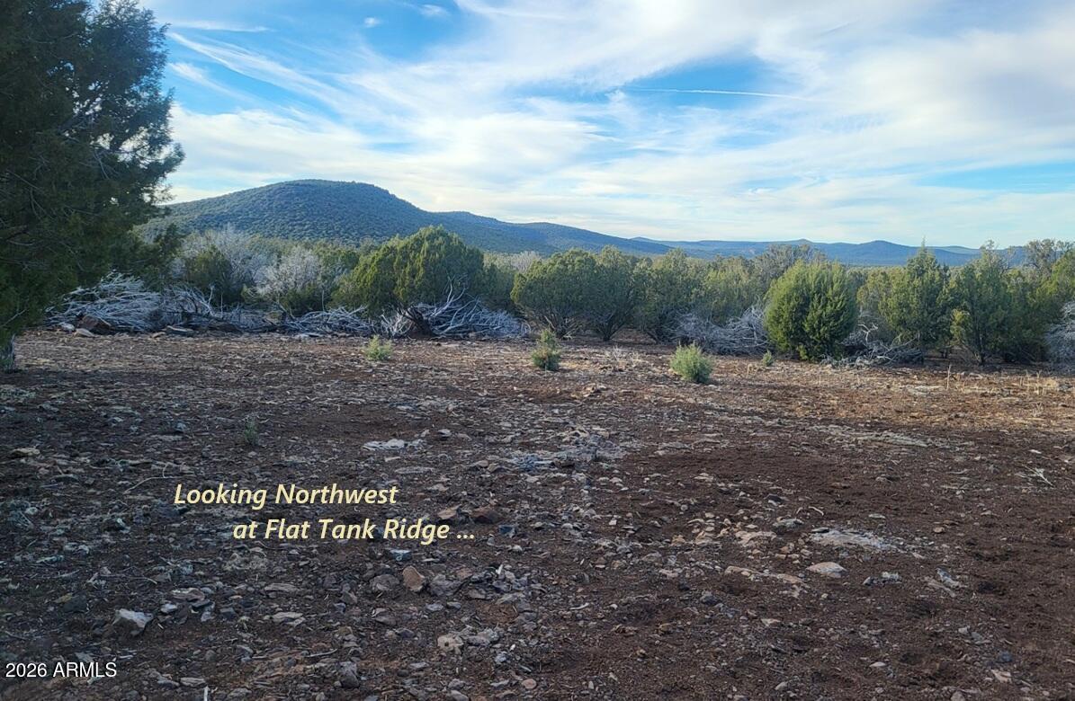 15115 Noseeum Road, Unit 261 Williams, AZ 86046 - Photo 9 of 19 a view of a road with a yard
