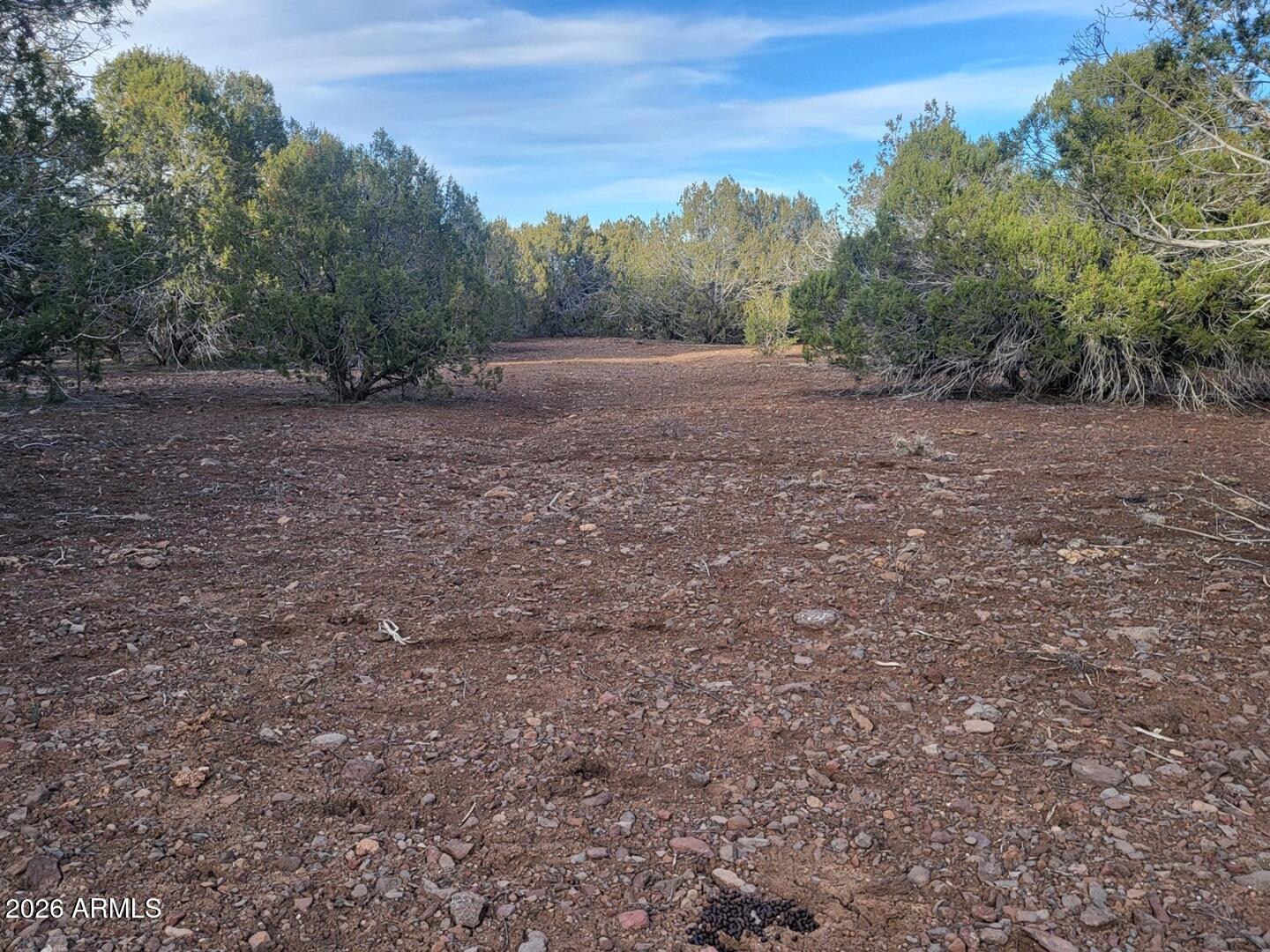 15115 Noseeum Road, Unit 261 Williams, AZ 86046 - Photo 10 of 19 a view of dirt field with trees in background