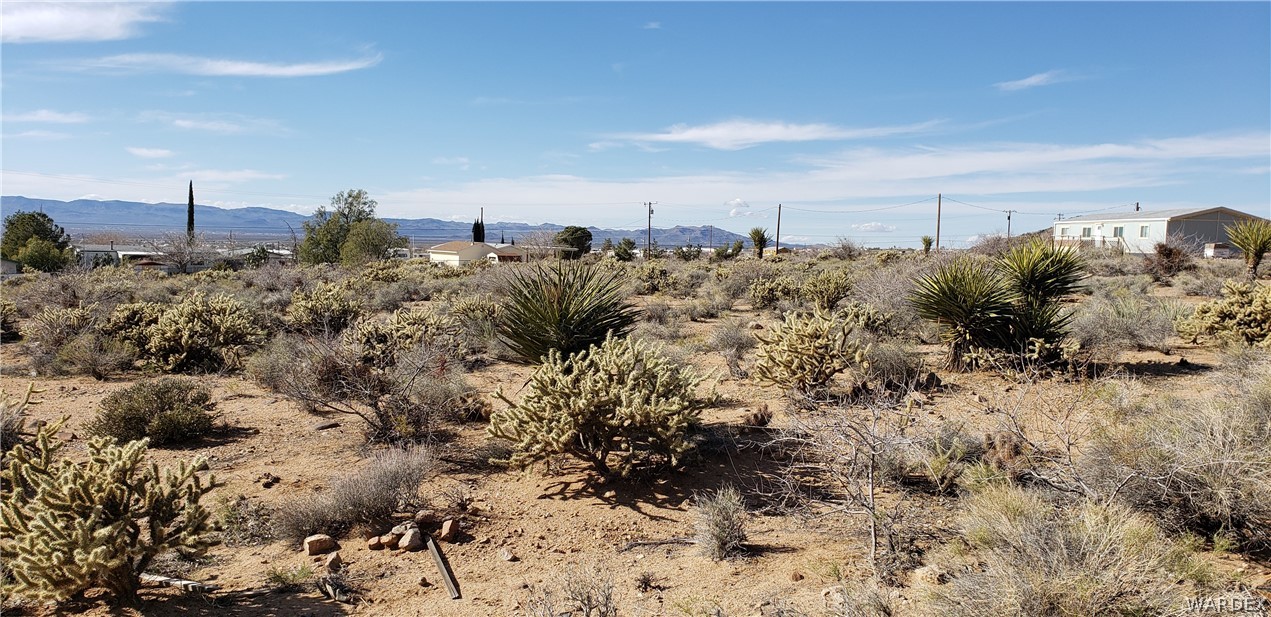 3439 Kayenta Road Golden Valley, AZ 86413 - Photo 5 of 8 a view of a bunch of trees and bushes
