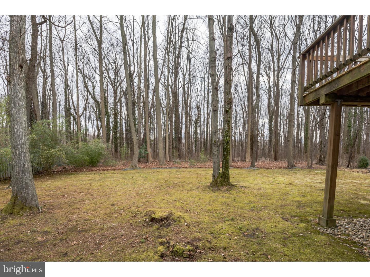 4 Gardner Road Cherry Hill, NJ 08034 - Photo 25 of 25